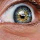 pexels-recep-urgen-481997819-29238261